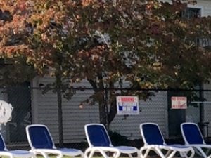 Pool surrounded by deck chairs